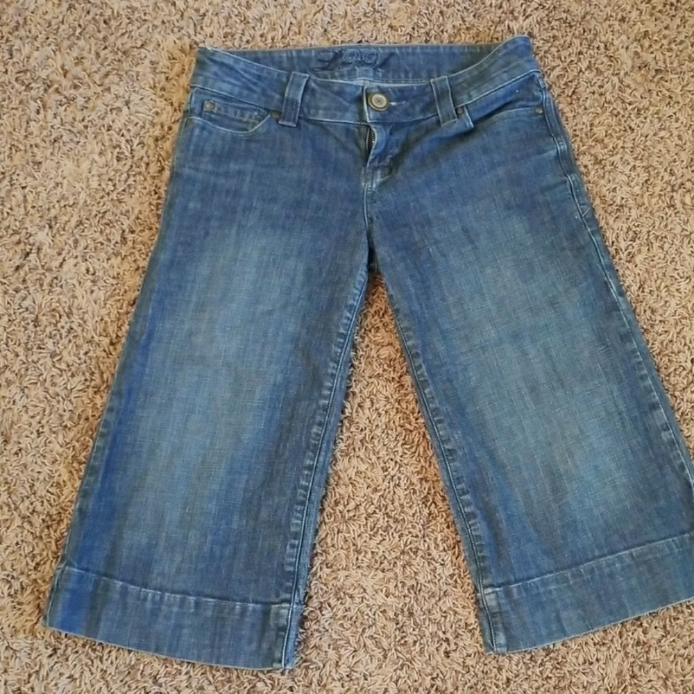 Level 99 denim crop